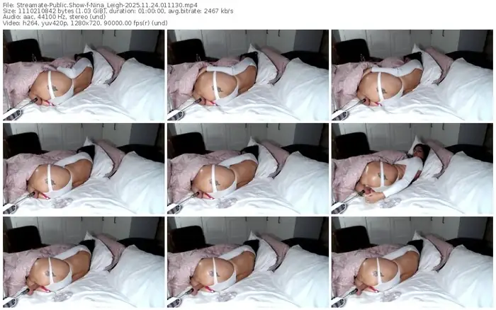 2025/11/24/streamate-nina_leigh-01-11-30