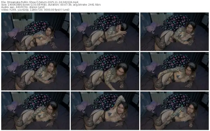 2025/11/24/streamate-zaturn-04-16-24