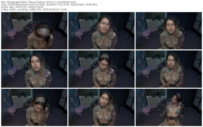 2025/11/24/streamate-zaturn-04-33-18