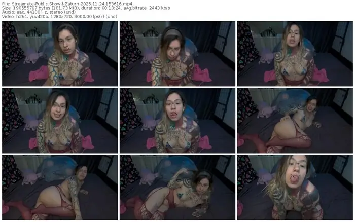 2025/11/24/streamate-zaturn-15-36-16