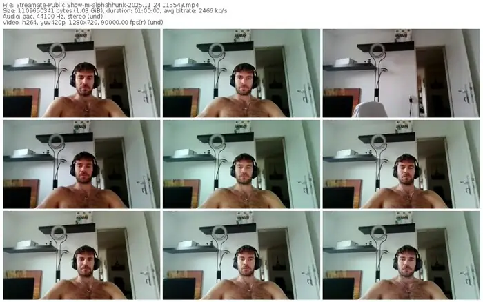 2025/11/24/streamate-alphahhunk-11-55-43