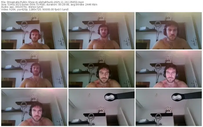 2025/11/24/streamate-alphahhunk-13-56-53
