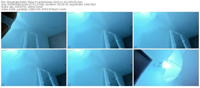 2025/11/25/streamate-carolgomeez-13-51-45