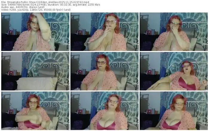 2025/11/25/streamate-g0lden_are0las-02-37-42