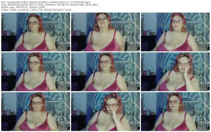 2025/11/25/streamate-g0lden_are0las-03-53-38