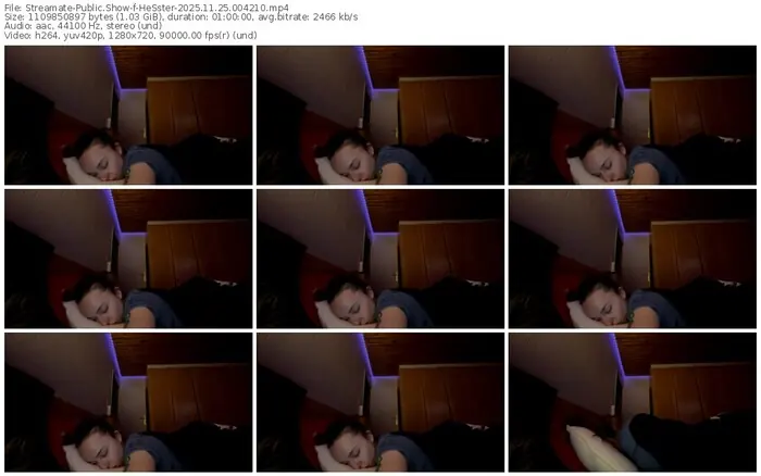 2025/11/25/streamate-hesster-00-42-10