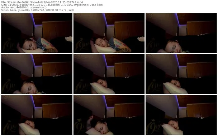 2025/11/25/streamate-hesster-03-27-43