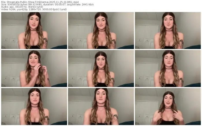 2025/11/25/streamate-inkkarma-21-28-51