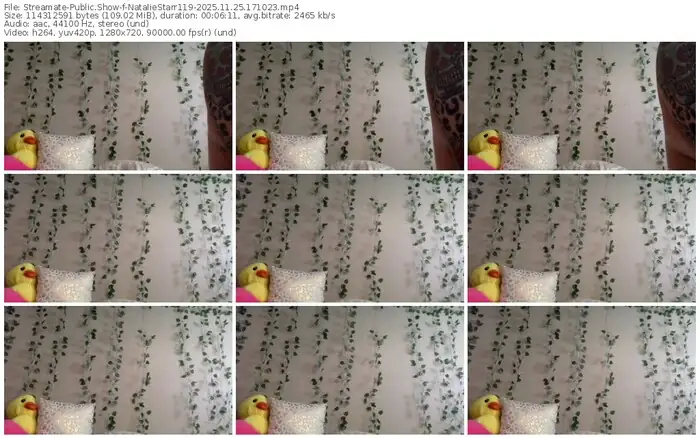 2025/11/25/streamate-nataliestarr119-17-10-23