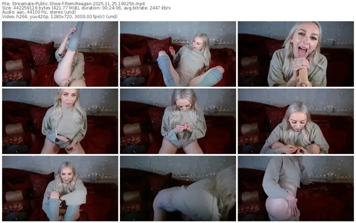 2025/11/25/streamate-remireagan-19-02-56