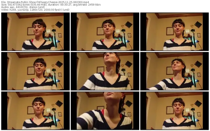 2025/11/25/streamate-wheezycheese-06-03-00