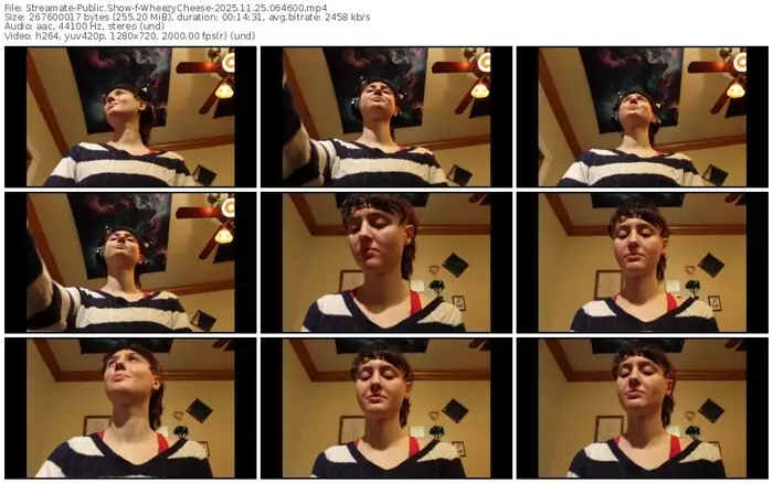 2025/11/25/streamate-wheezycheese-06-46-00