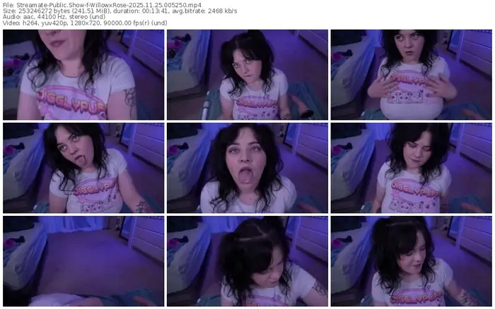 2025/11/25/streamate-willowxrose-00-52-50