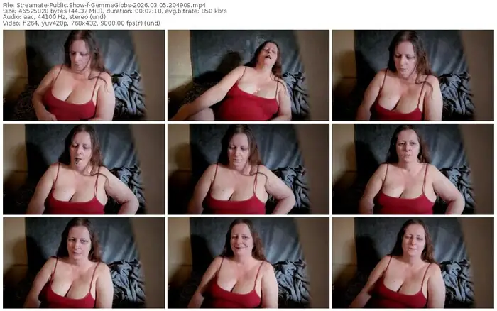 2026/03/05/streamate-gemmagibbs-20-49-09