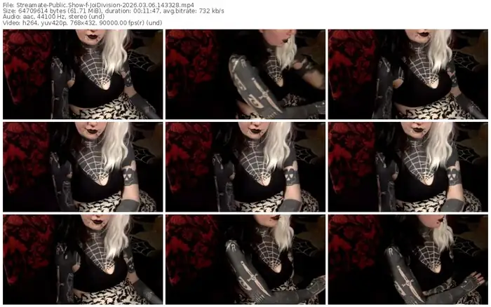 2026/03/06/streamate-joidivision-14-33-28