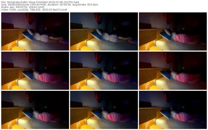 2026/03/08/streamate-hesster-23-27-50