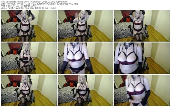 2026/03/09/streamate-gartersex-23-01-03