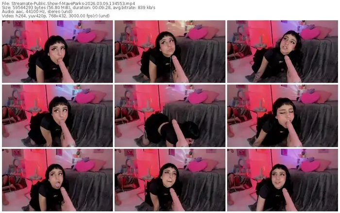 2026/03/09/streamate-maveparks-13-45-53