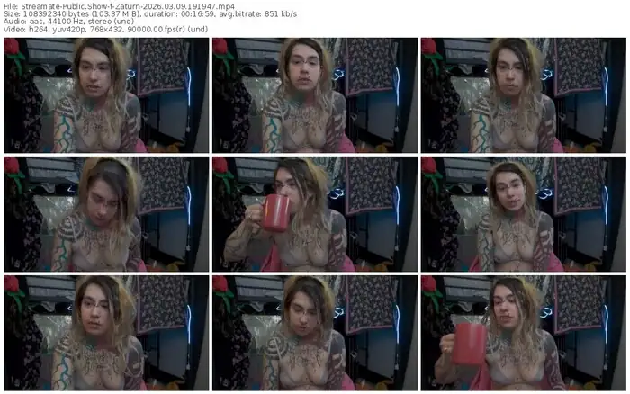 2026/03/09/streamate-zaturn-19-19-47