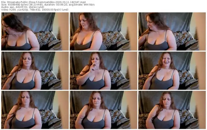 2026/03/11/streamate-gemmagibbs-18-23-47