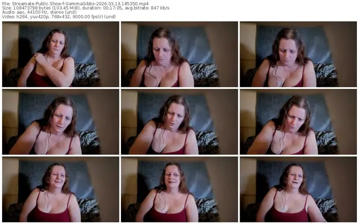 2026/03/13/streamate-gemmagibbs-18-53-50