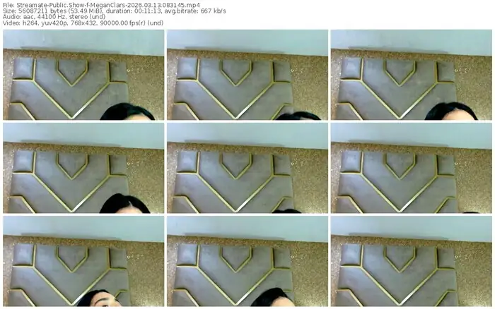 2026/03/13/streamate-meganclars-08-31-45