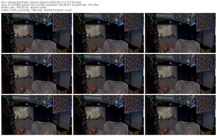 2026/03/17/streamate-zaturn-17-11-39