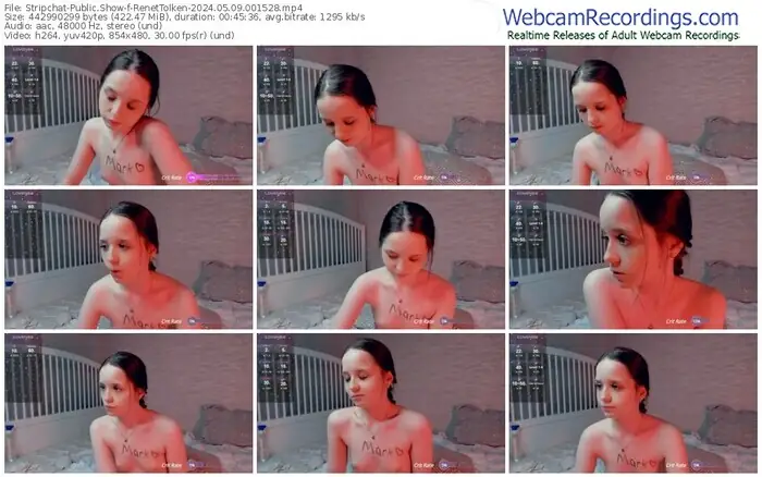 2024/05/09/stripchat-renettolken-00-15-28