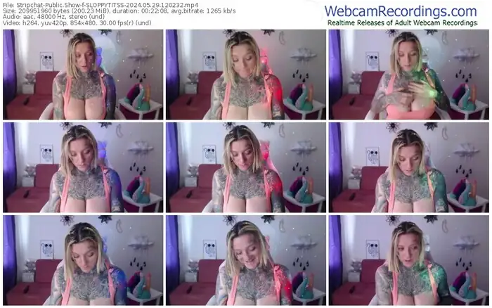 2024/05/29/stripchat-sloppytitss-12-02-32