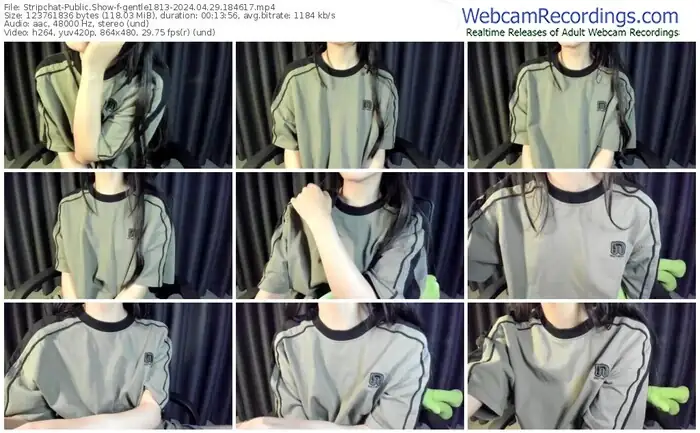 2024/04/29/stripchat-gentle1813-18-46-17