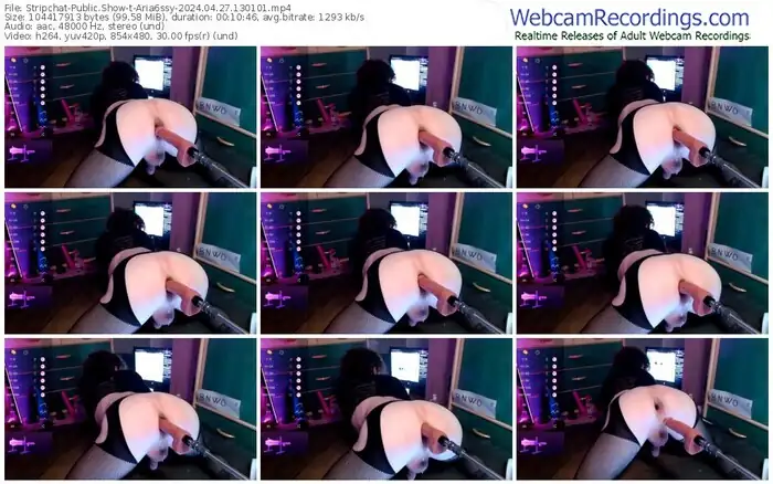 2024/04/27/stripchat-aria6ssy-13-01-01