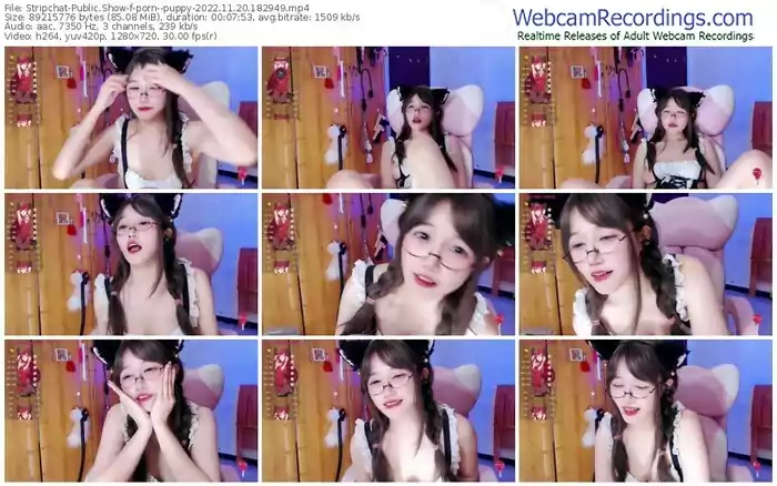 2022/11/20/stripchat-porn--puppy-18-29-49