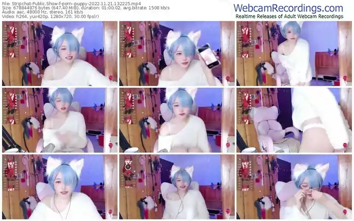 2022/11/21/stripchat-porn--puppy-13-22-25