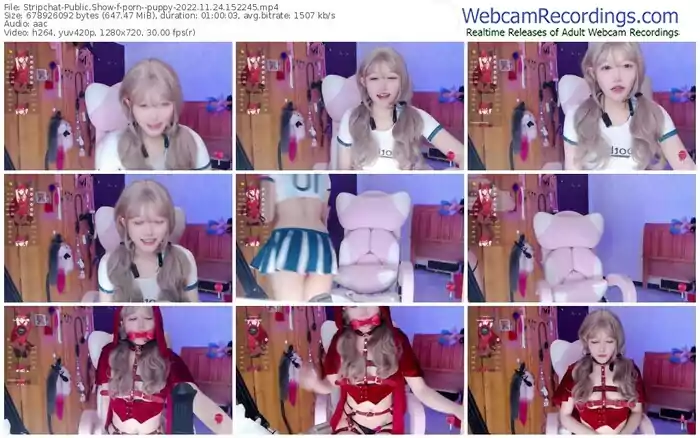 2022/11/24/stripchat-porn--puppy-15-22-45