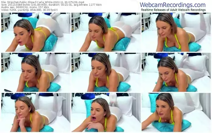 2022/11/30/stripchat-carla_white-07-52-31