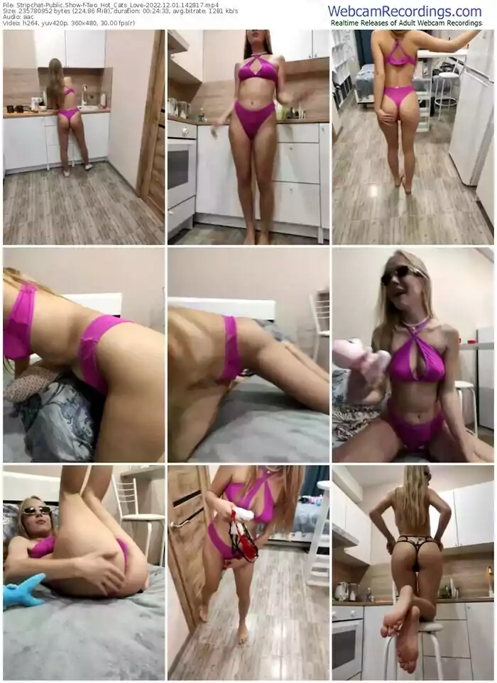 2022/12/01/stripchat-two_hot_cats_love-14-28-17