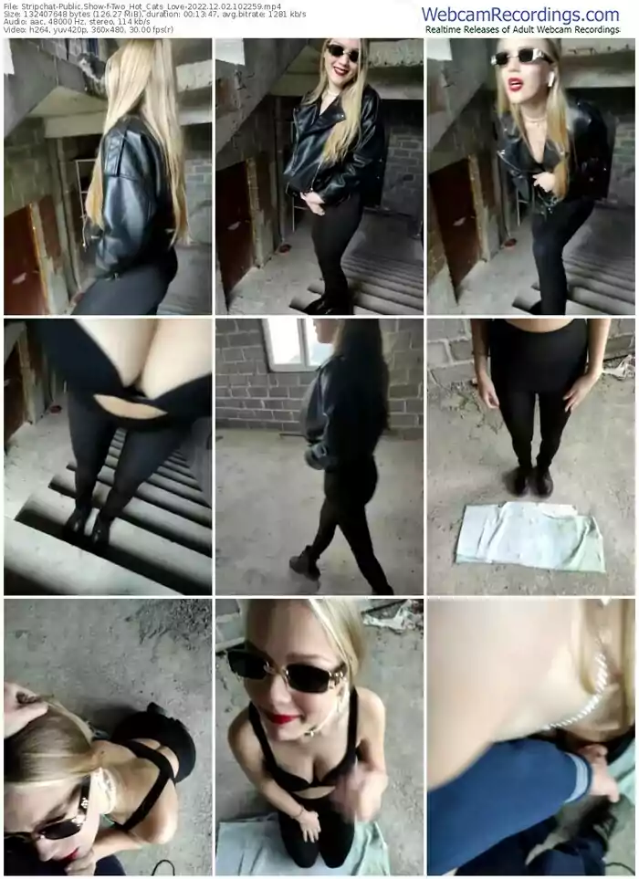 2022/12/02/stripchat-two_hot_cats_love-10-22-59