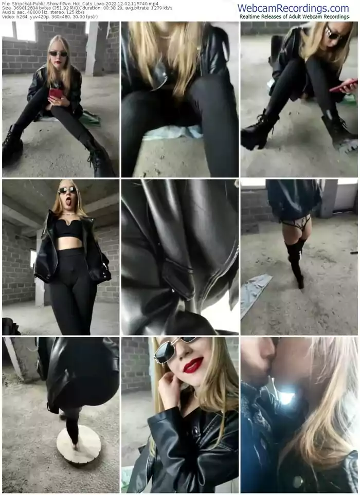 2022/12/02/stripchat-two_hot_cats_love-11-57-40