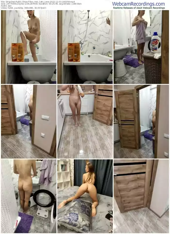 2022/12/03/stripchat-two_hot_cats_love-18-02-58