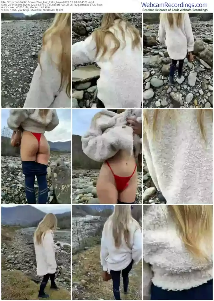 2022/12/04/stripchat-two_hot_cats_love-08-45-01