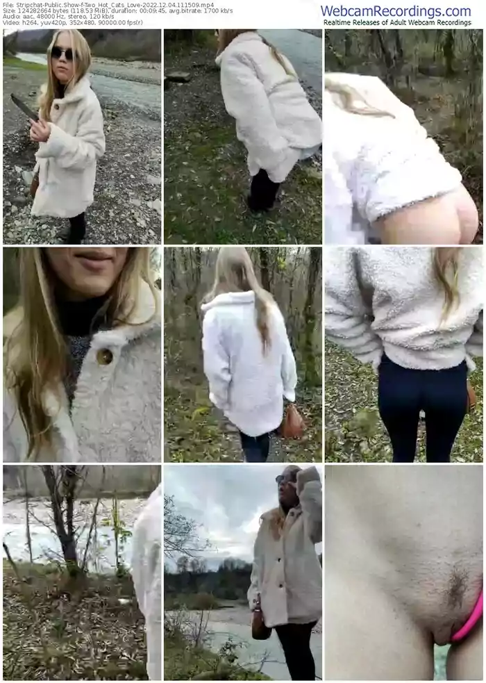 2022/12/04/stripchat-two_hot_cats_love-11-15-09