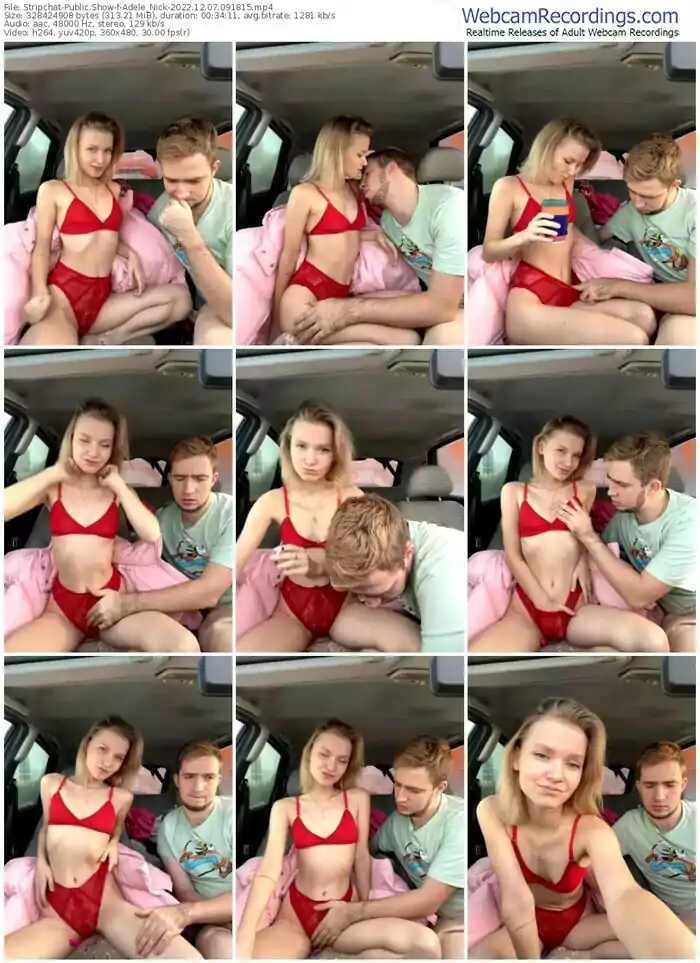 2022/12/07/stripchat-adele_nick-09-18-15