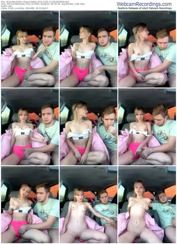 2022/12/08/stripchat-adele_nick-08-33-48