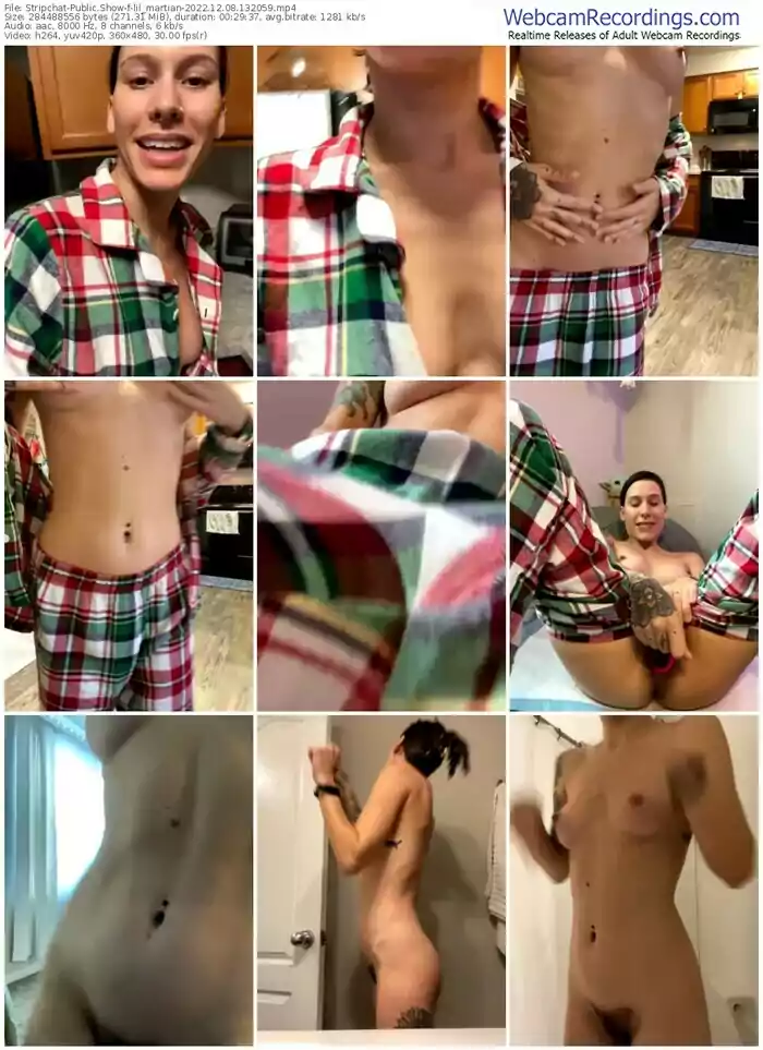 2022/12/08/stripchat-lil_martian-13-20-59