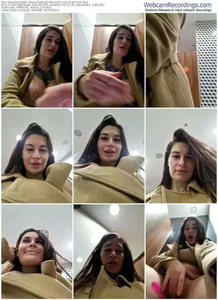 2022/12/18/stripchat-tattoogirlalia-18-33-25