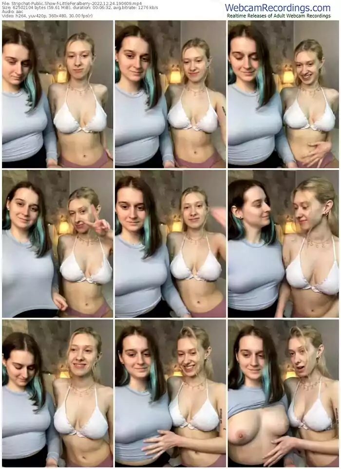 2022/12/24/stripchat-littleferalberry-19-06-09