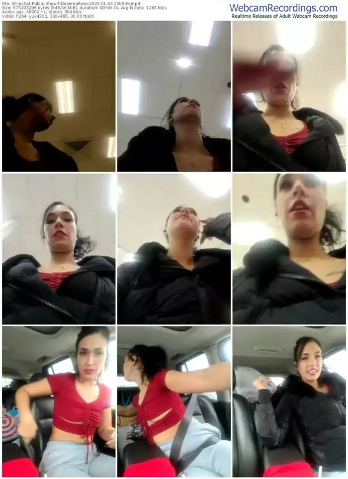 2023/01/04/stripchat-deserearose-20-09-49