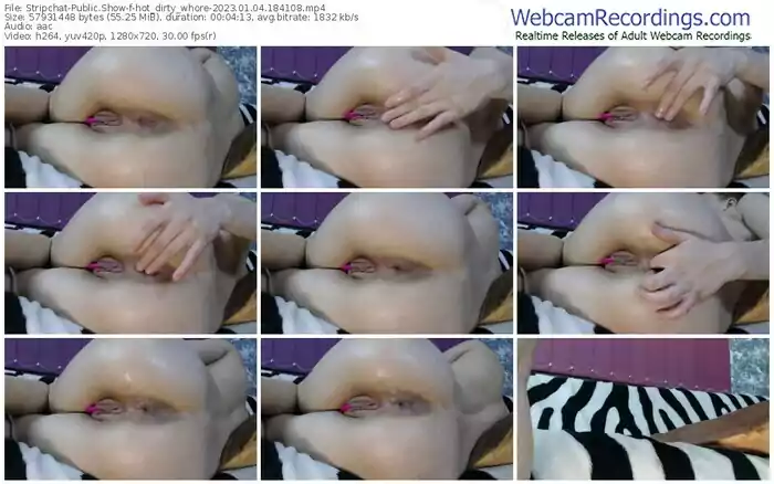 2023/01/04/stripchat-hot_dirty_whore-18-41-08