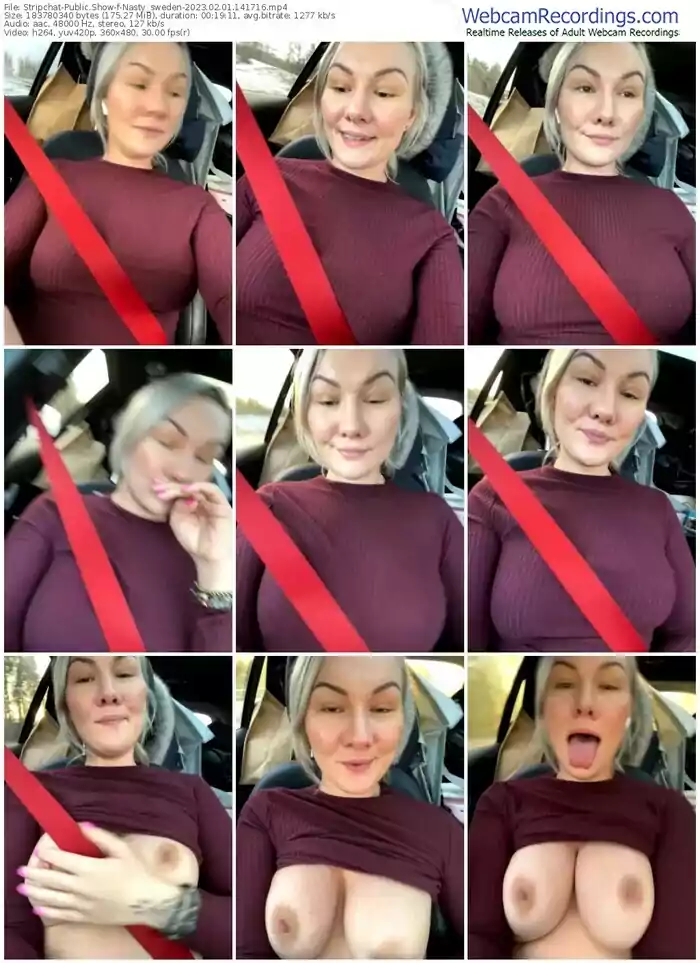 2023/02/01/stripchat-nasty_sweden-14-17-16