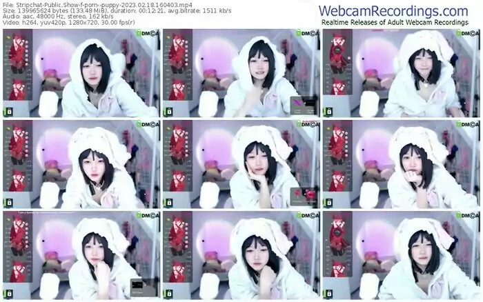 2023/02/18/stripchat-porn--puppy-16-04-03